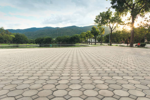 Best Custom Driveway Pavers  in Bonita, CA